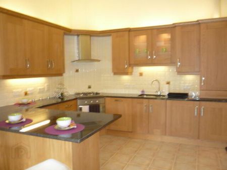 Apartment 7 16 Burghley Mews, Kings Road, Belfast, BT5 7GX - Photo 4