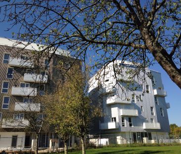 Appartement T2 à louer - 41 m² - Photo 2