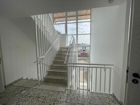 Beucha - *geräumige Singlewohnung*Balkon*Stellplatz* Keller* - Foto 5