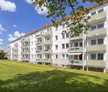 Ein Platz an der Sonne... - Foto 6