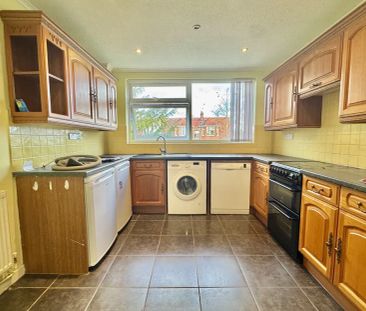 Ipswich Road - Photo 4