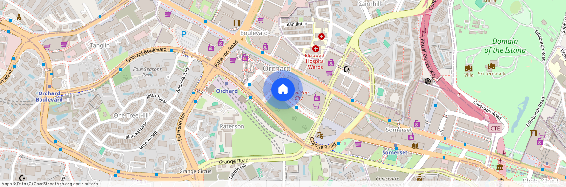 Orchard Turn, Singapore