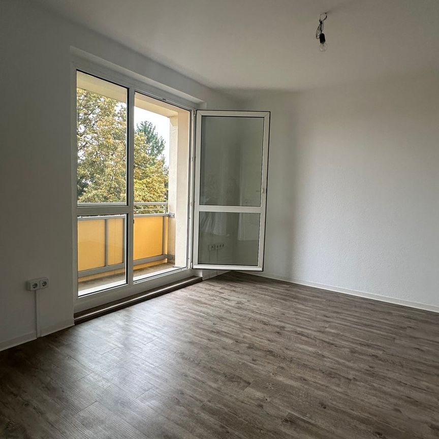 Schmiedeberger Str. 43, 01277 Dresden OT Tolkewitz / Seidnitz-Nord - Foto 1