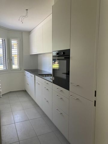 "Grosse Parterrewohnung" - Photo 4