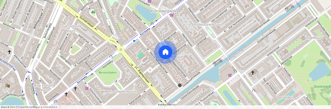 Professorenbuurt, 9714 ES, Oppenheimstraat, Groningen