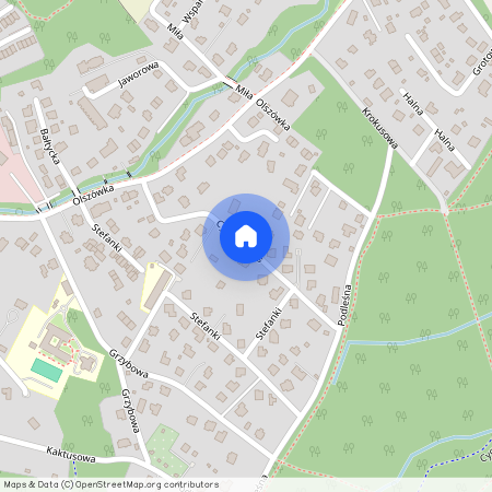 ul. Cygański Las, Olszówka, Mikuszowice Śląskie, Bielsko-Biała, śląskie