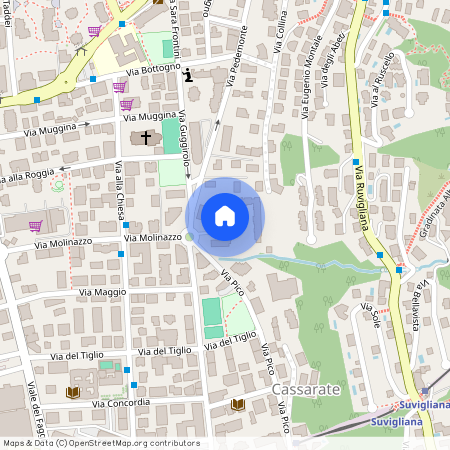 Via Pedemonte 2, 6962 Viganello