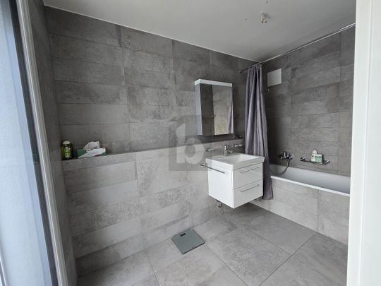 LUMINOSITÉ ET VUE SPECTACULAIRE SUR LE LAC - Photo 1