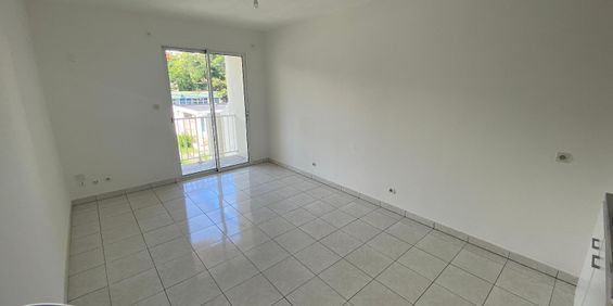 Location Appartement 1 pièce 20m² STE CLOTILDE 97490 - Photo 3