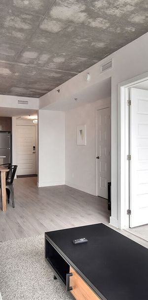 1 Bedroom Available At 1255 Rue De Bullion, Montreal - 1255 Rue De Bullion, Montréal - Photo 1