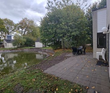 Te huur: Huis Haspelstraat in Hoeven - Photo 6