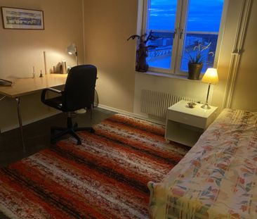 Vintrosagatan, Bandhagen - Foto 3