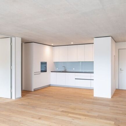 Your dream apartment in the new Riverside district in Zuchwil - Foto 4