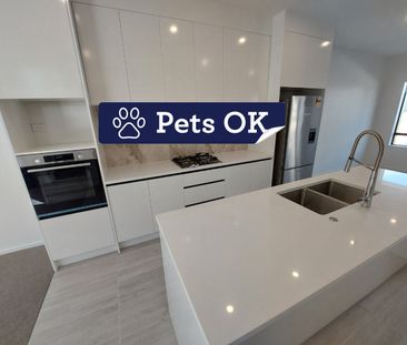 Great Modern Home - Photo 6