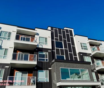 BRAND NEW 1 BED 1 BATH 1ST-FLOOR APARTMENT WITH AN ON-SITE PARKING ... - Photo 6