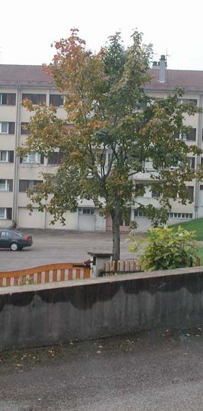 Location - Appartement T3 - 69 m² - Morteau - Photo 1