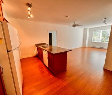 Prime Location Tsawwassen Central Lovely 2 Bed /2 Bath Condo - Photo 5