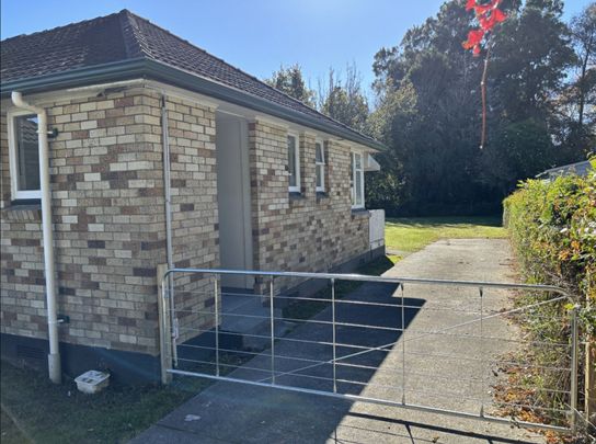 Freshly Renovated Family Home in a Peaceful Location - Photo 1