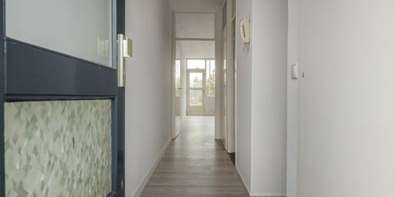 Aggemastate 66 - Foto 3