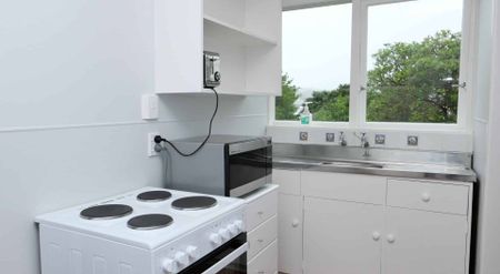 Charming, Well-Presented One-Bedroom Home in the Heart of Brooklyn - Photo 4