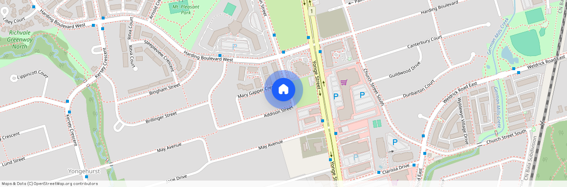 50 Addison Street Unit# Lower, Richmond Hill