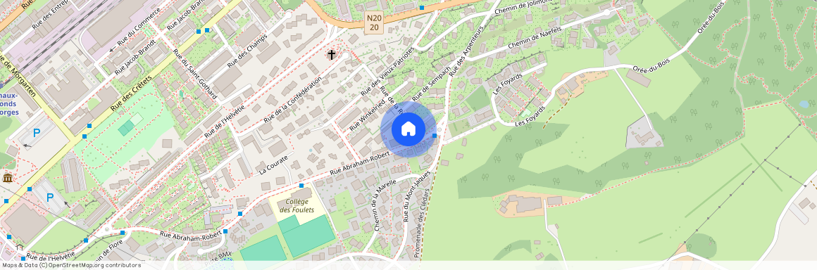 2300, La Chaux-de-Fonds, Rue de la Ruche, 41