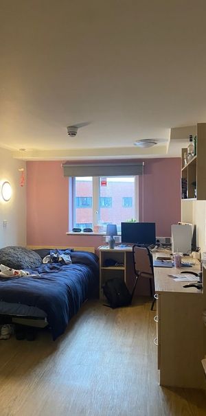 Room in a Shared Flat, Opal One, B5 - Photo 1