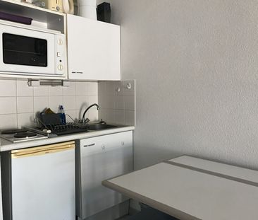 Location Appartement 1 pièce 17m² - Photo 4