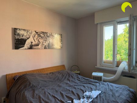 Huis te huur in Mortsel met 2 slaapkamers - Foto 4