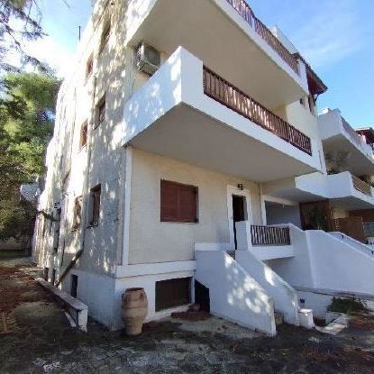 Μονοκατοικία για ενοικίαση - Δροσιά, - Photo 4