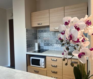 Kawalerka na wynajem w dobrej lokalizacji - Zdjęcie 3