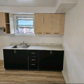 Grand 6 1/2 tout rénové avec cour privée - Photo 4