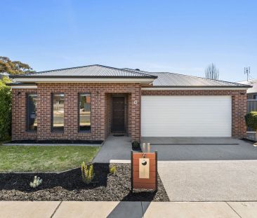 Perfect family home, with shedding - Photo 6