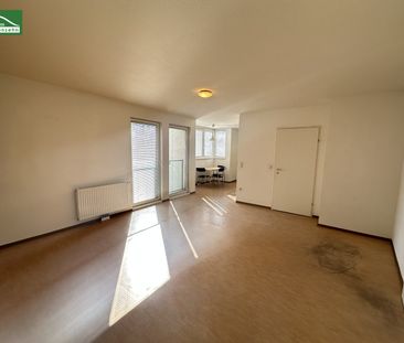 All-inclusive Wohnung in Hofruhelage beim Kirschblütenpark – nahe U... - Photo 6
