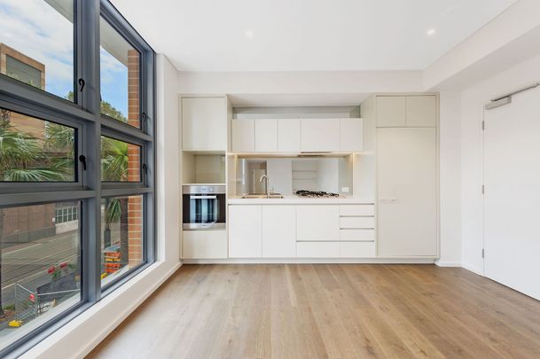 3017/65 Tumbalong Boulevard, Haymarket - Photo 1