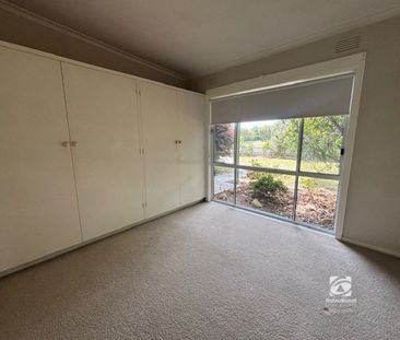 SPACIOUS HOME, SUPERB SHEDDING - Photo 5