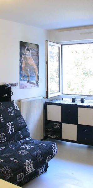 Appartement 1 pièce à Illkirch-Graffenstaden - Photo 1