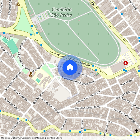 Rua Joaquim Pereira Pinto, Jardim Avelino, São Paulo