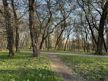 Mieszkanie do wynajęcia - Warszawa, Adama Próchnika - Photo 2