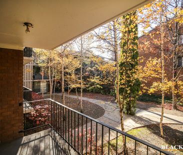 1/99 Canberra Avenue, Griffith ACT 2603 - Apartment For Rent | Domain - Photo 6