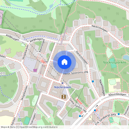 Edvin Adolphsons väg, Solna