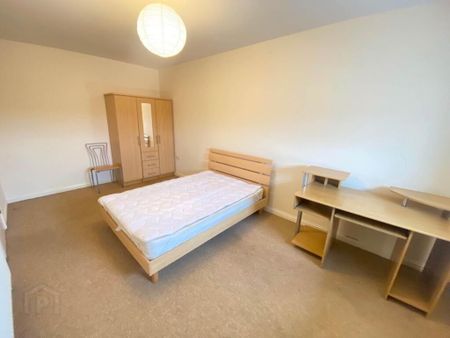 36 Ashley Courtyard, Belfast, BT9 7BW - Photo 5