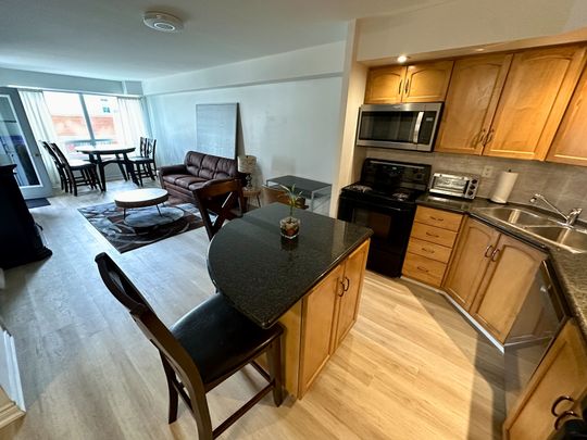 For Lease - 250 Wellington Street Unit# 436, Toronto, Ontario - Photo 1