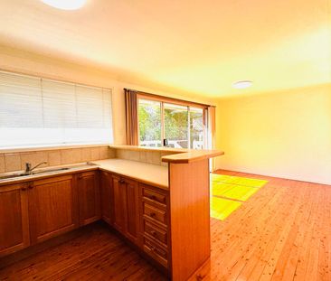 SUNFILLED FAMILY HOME WITHIN MATTHEW PEARCE CATCHMENT - Photo 1