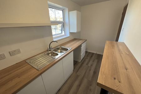 Ben Culey Drive - Photo 4