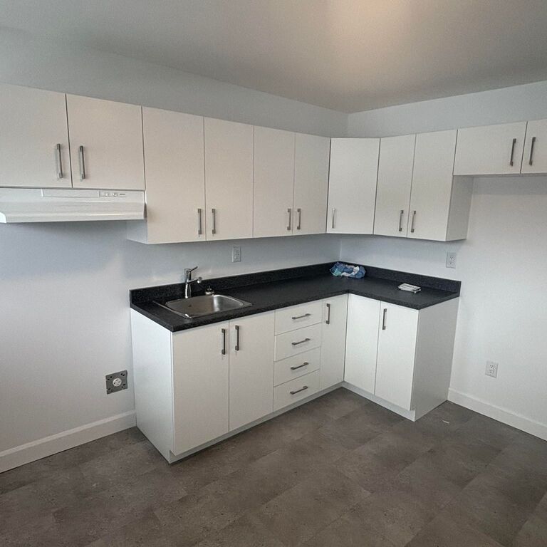 BEAU 3 1/2|CHAUFFAGE & EAU CHAUDE INCLUS - Photo 1