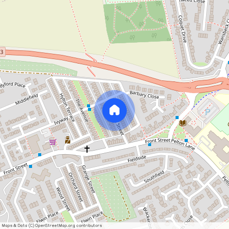 Ernest Street, Pelton, Chester-Le-Street, DH2