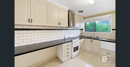 6/115 Albert Street, Ballarat Central, Vic 3350 - Photo 3