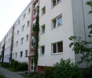 Wohnungsangebot - Foto 2