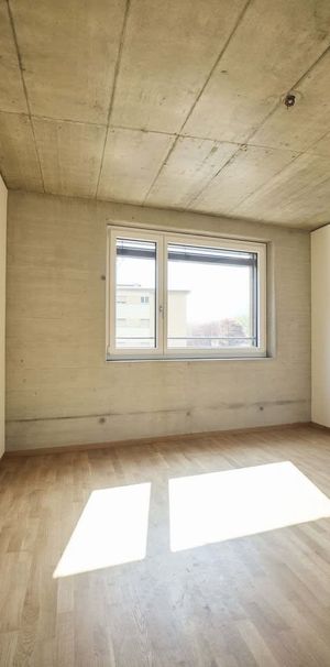 2.5 Zimmer, 61 m², 2. Stock - Foto 1